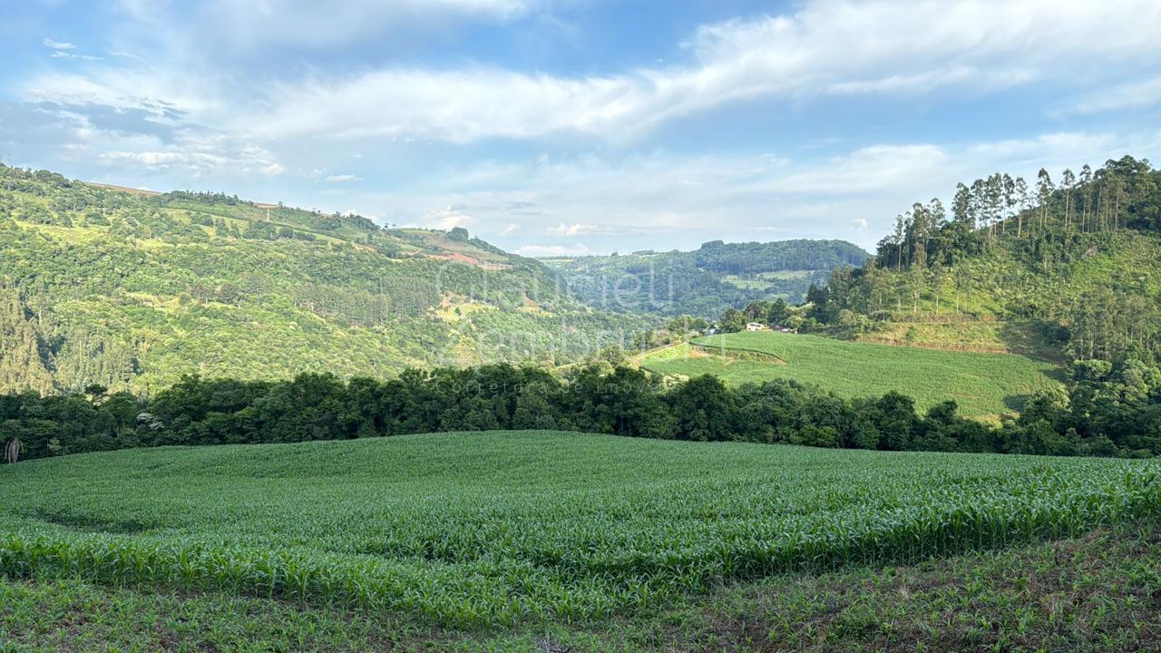 Área de terra